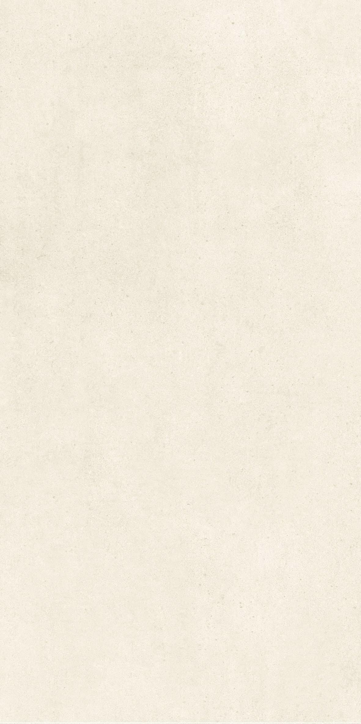 貝殼白